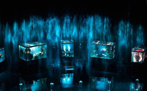 AquaSonic er en kompromisløs opdagelsesrejse under vand</br>AquaSonic koncert med musikerne i de store vandtanke.</br>Foto: Ambra Vernuccio