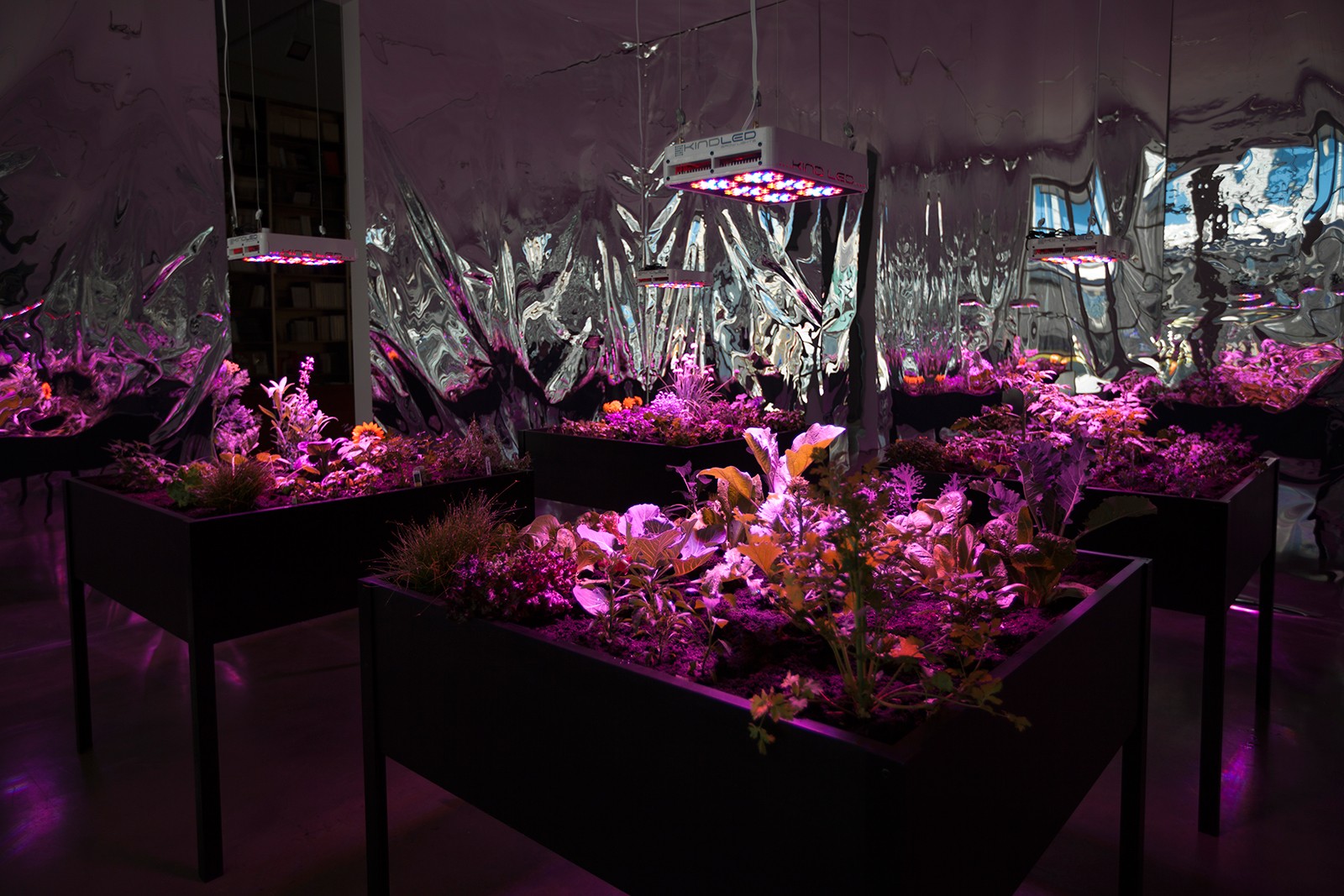 Gigant udstilling på ARoS skal sætte aftryk i Europa</br>Meg Websters Solar Grow Room fra 2016.</br>Foto: PR-foto / ARoS - Anders Sune Berg